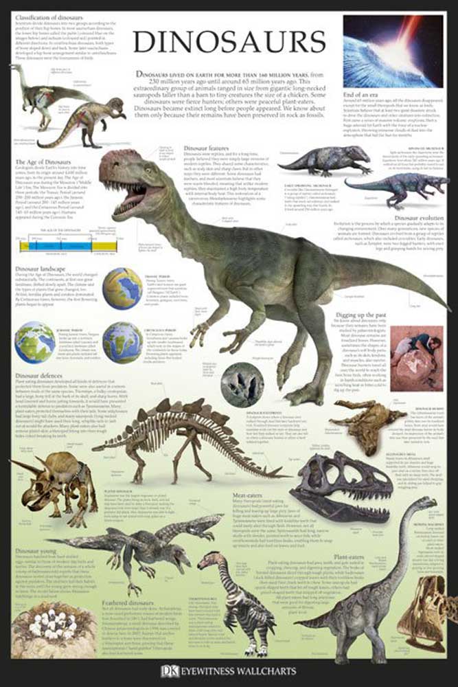 Educational - Bildung - Poster - Dinosaurs - Dorling Kindersley