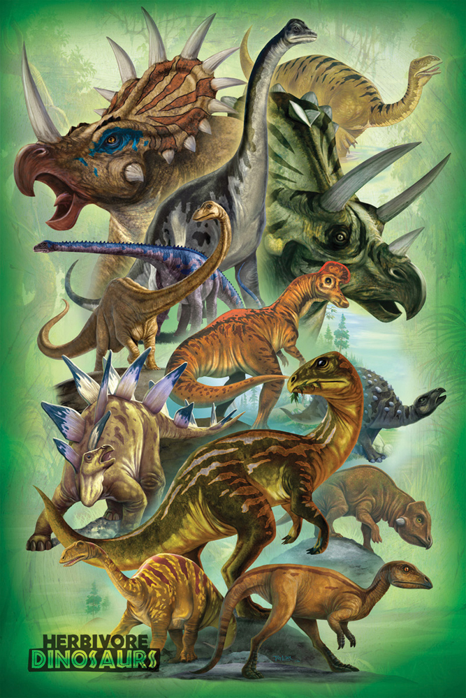 Educational - Bildung - Poster - Dinosaurs - Herbivores