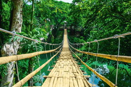 Landschaften Dschungel Hängebrücke