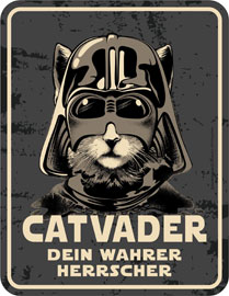 Poster - Katze
