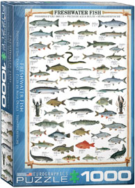 1000 Teile Puzzle Süßwasser Fische